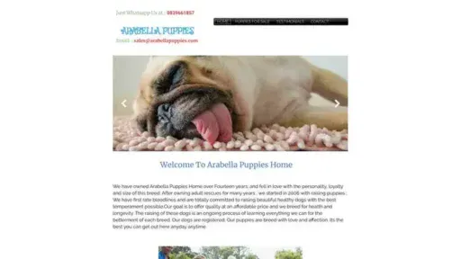 Screenshot of