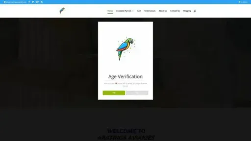 Screenshot of