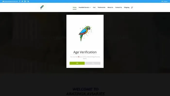 Screenshot of