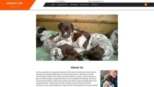 Screenshot of