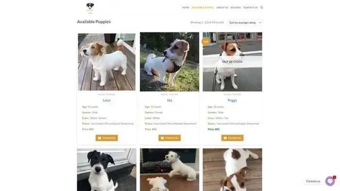 Screenshot of