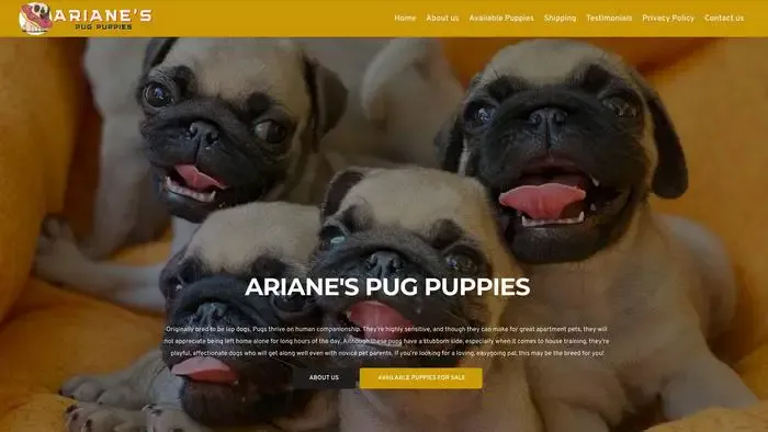 Screenshot of