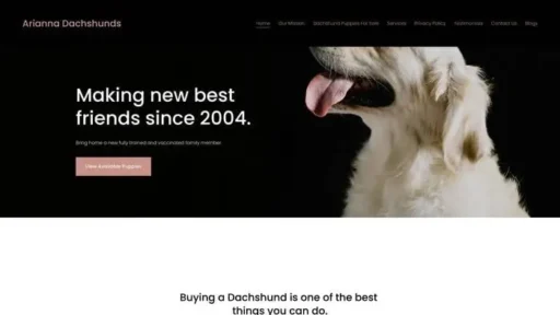 Screenshot of