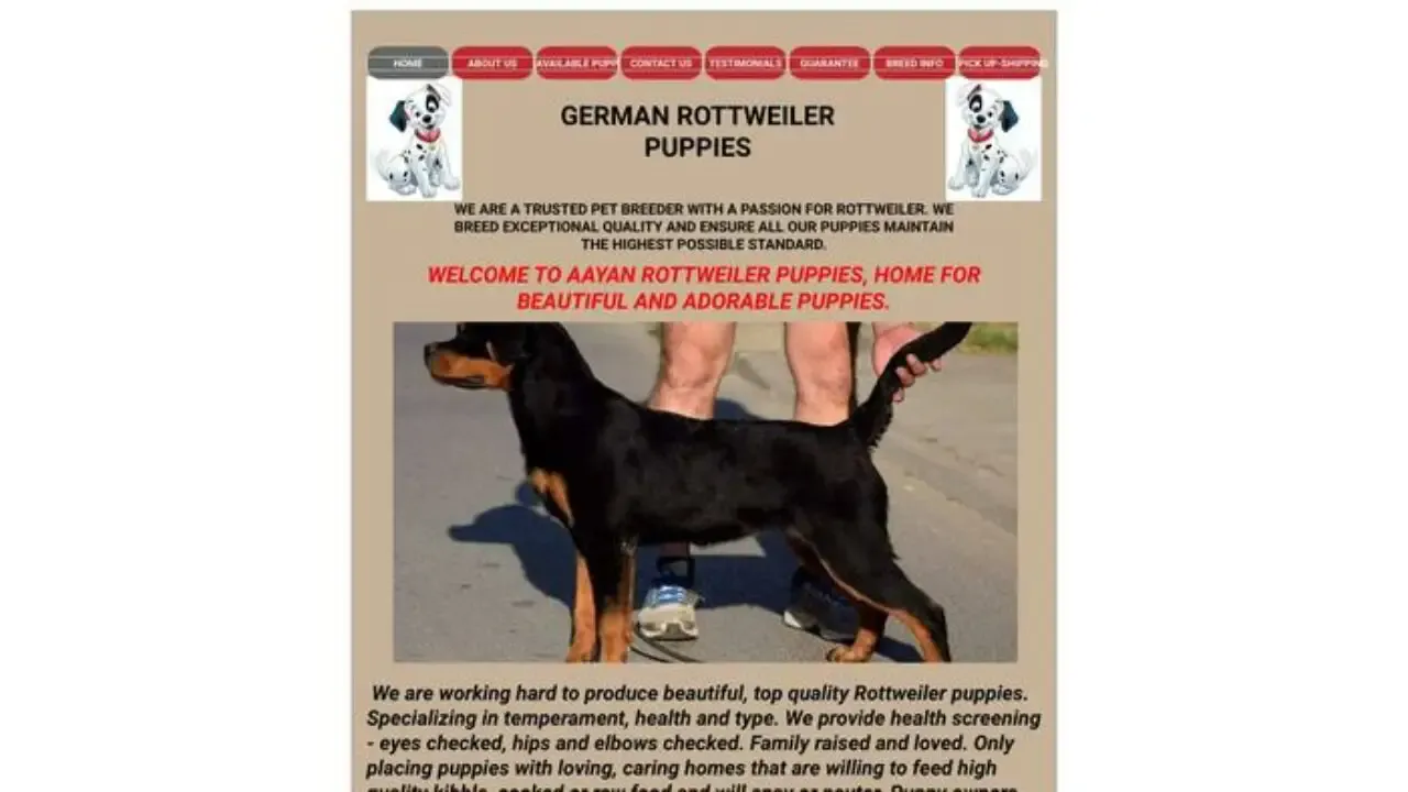 Ariannagermanrottpuppies