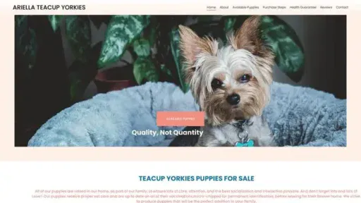 Screenshot of