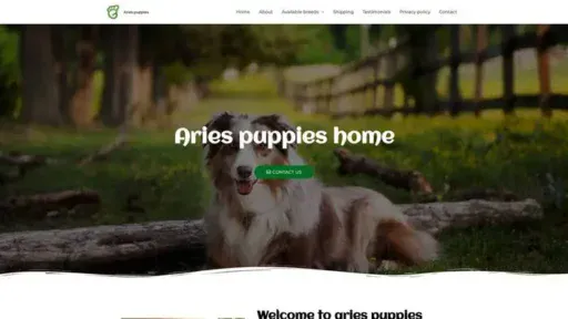 Screenshot of