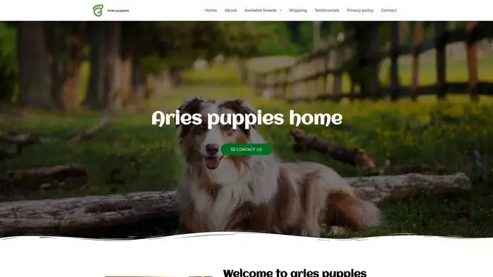 Screenshot of