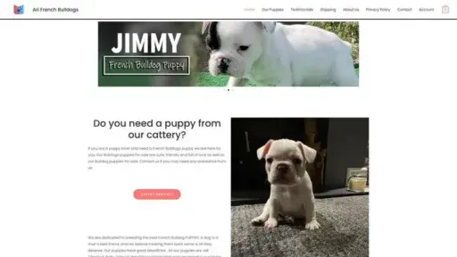 Screenshot of