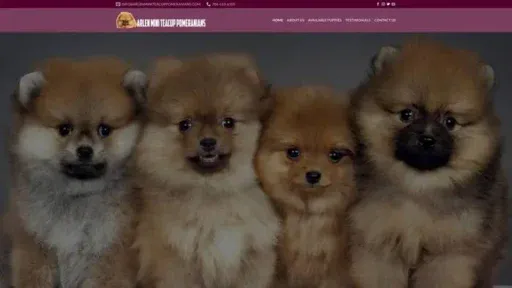 Screenshot of