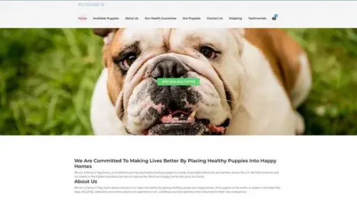 Screenshot of