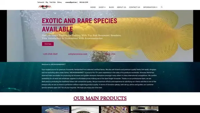 Screenshot of