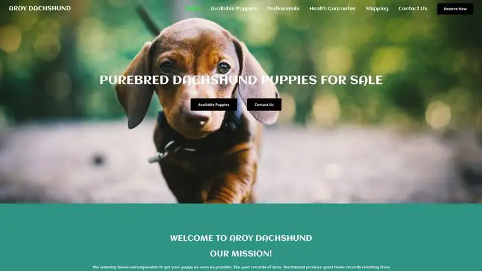 Screenshot of