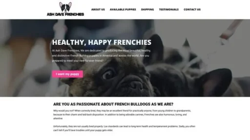 Screenshot of