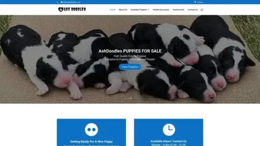 Screenshot of