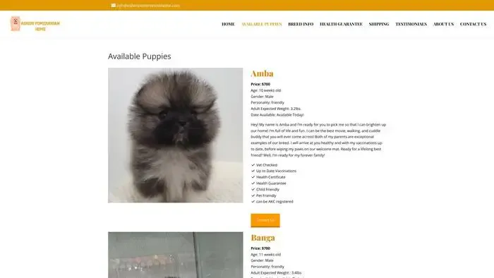 Screenshot of