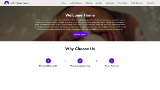 Screenshot of