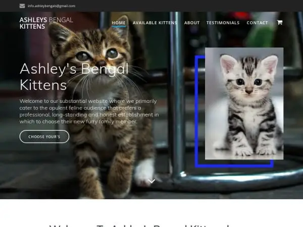 Screenshot of