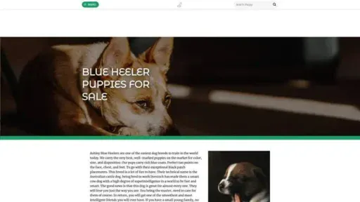 Screenshot of