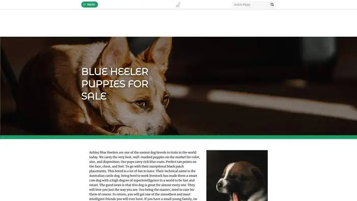 Screenshot of