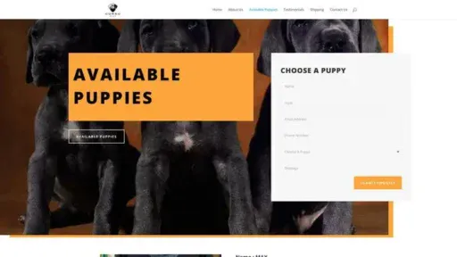 Screenshot of