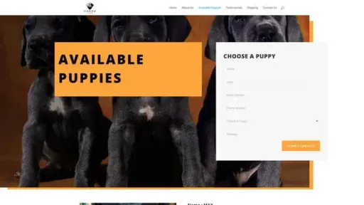 Screenshot of