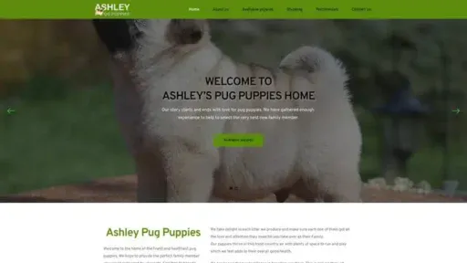 Screenshot of
