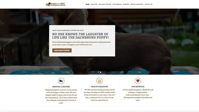 Screenshot of