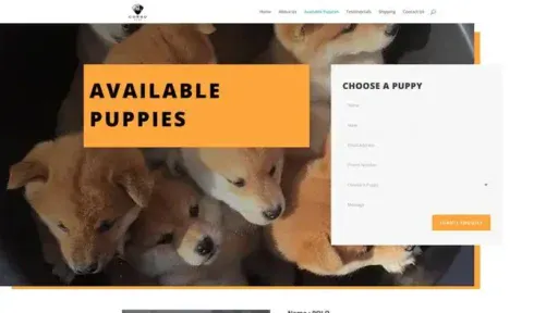 Screenshot of