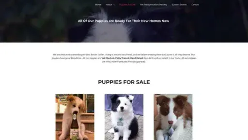 Screenshot of