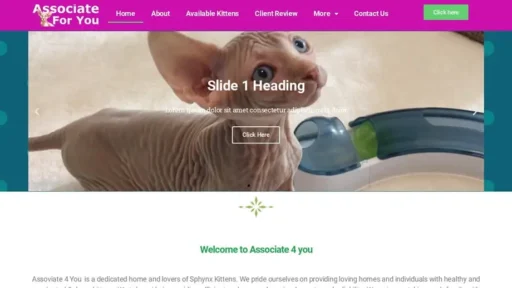 Screenshot of