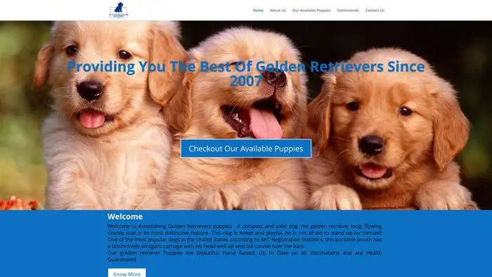Screenshot of
