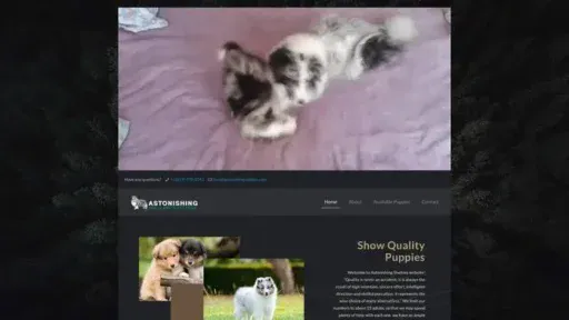 Screenshot of