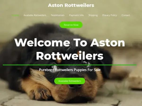 Screenshot of