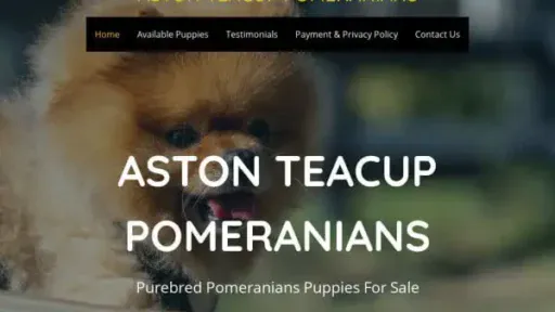 Screenshot of