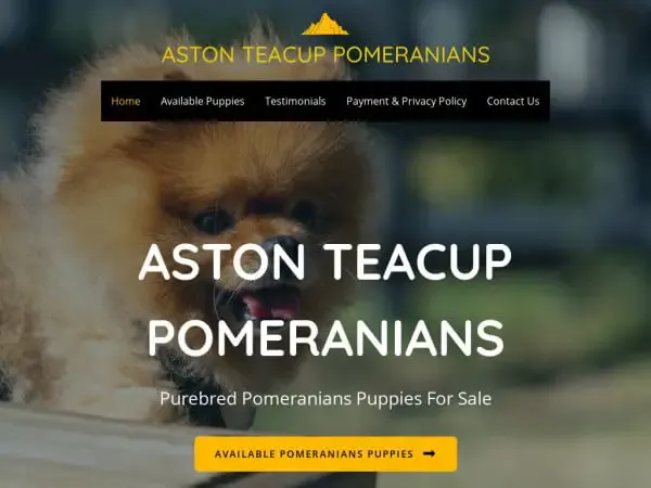 Screenshot of