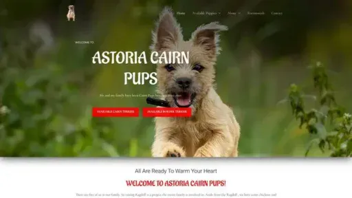 Screenshot of