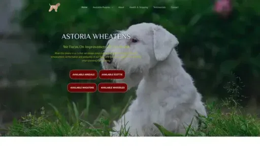 Screenshot of