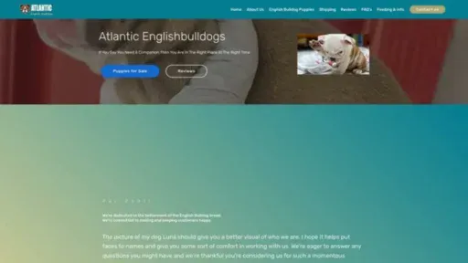 Screenshot of||