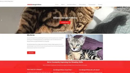 Screenshot of