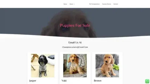 Screenshot of