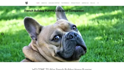 Screenshot of