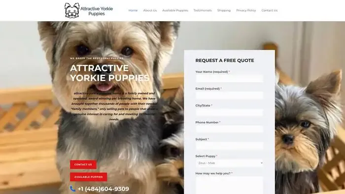 Screenshot of