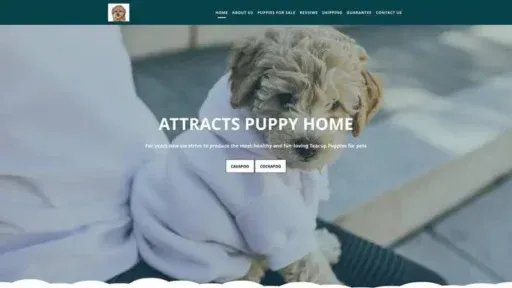 Screenshot of