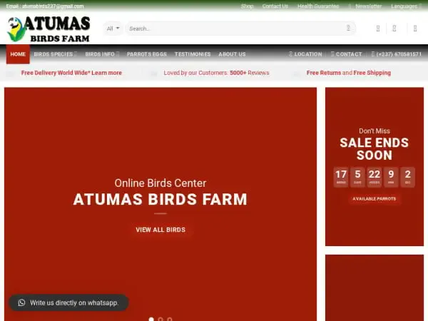Screenshot of