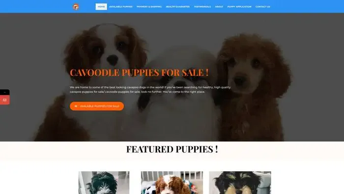 Screenshot of