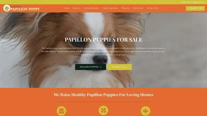 Screenshot of