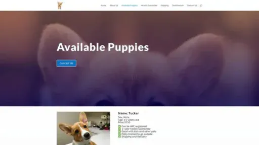 Screenshot of