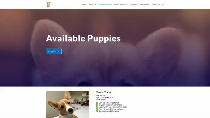 Screenshot of