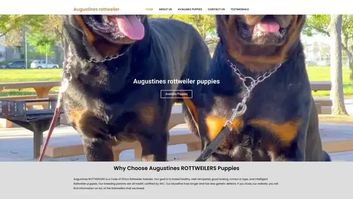 Screenshot of