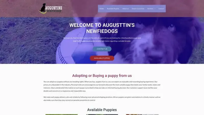 Screenshot of
